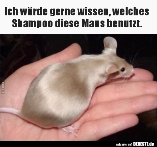 Ich würde gerne wissen, welches Shampoo diese Maus.. - Lustige Bilder | DEBESTE.de