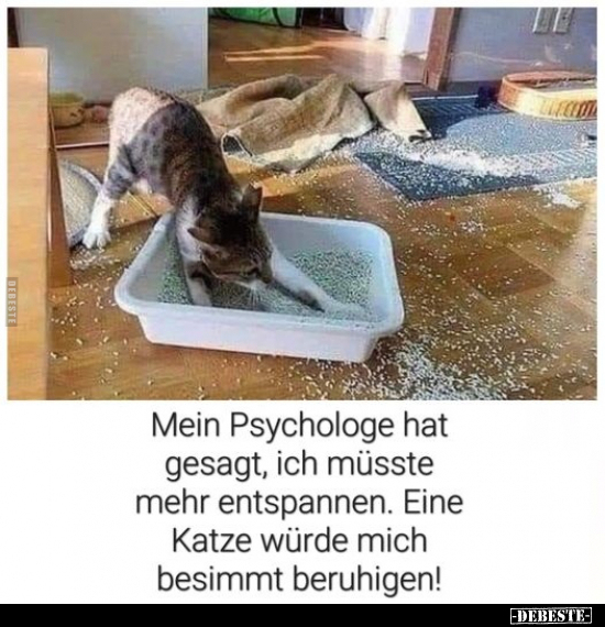 Mein Psychologe hat gesagt.. - Lustige Bilder | DEBESTE.de