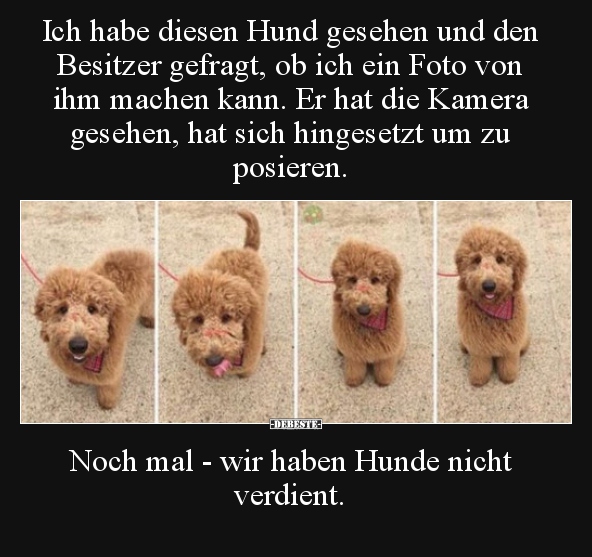 Ich habe diesen Hund gesehen und den Besitzer gefragt, ob.. - Lustige Bilder | DEBESTE.de