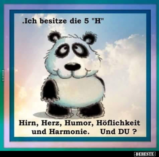 Ich besitze die 5 "H": Hirn, Herz, Humor, Höflichkeit.. - Lustige Bilder | DEBESTE.de