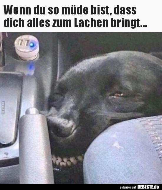 Wenn du so müde bist, dass dich alles zum Lachen.. - Lustige Bilder | DEBESTE.de