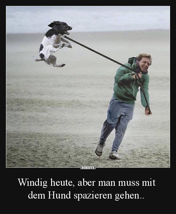 Windig heute, aber man muss mit dem Hund spazieren gehen.. - Lustige Bilder | DEBESTE.de
