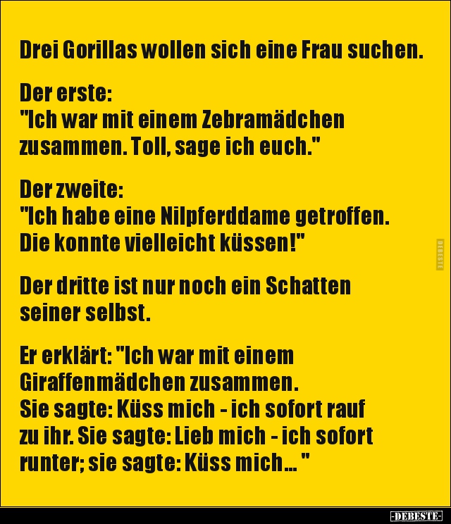 Drei Gorillas wollen sich eine Frau suchen.. - Lustige Bilder | DEBESTE.de