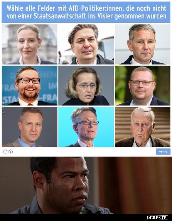 Wähle alle Felder mit AfD-Politiker:innen - Lustige Bilder | DEBESTE.de