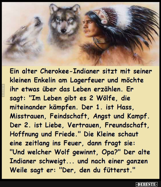 Die 2 Wölfe - Lustige Bilder | DEBESTE.de