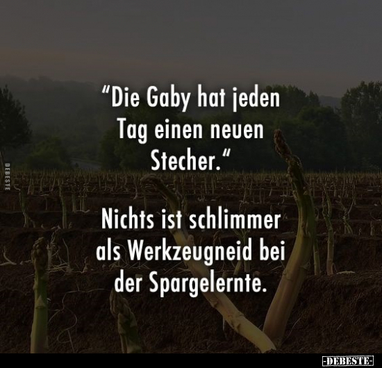 "Die Gaby hat jeden Tag einen neuen Stecher.".. - Lustige Bilder | DEBESTE.de