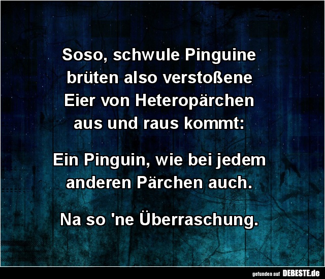 Soso, schwule Pinguine brüten also... - Lustige Bilder | DEBESTE.de