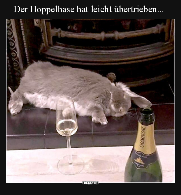 Der Hoppelhase hat leicht übertrieben... - Lustige Bilder | DEBESTE.de