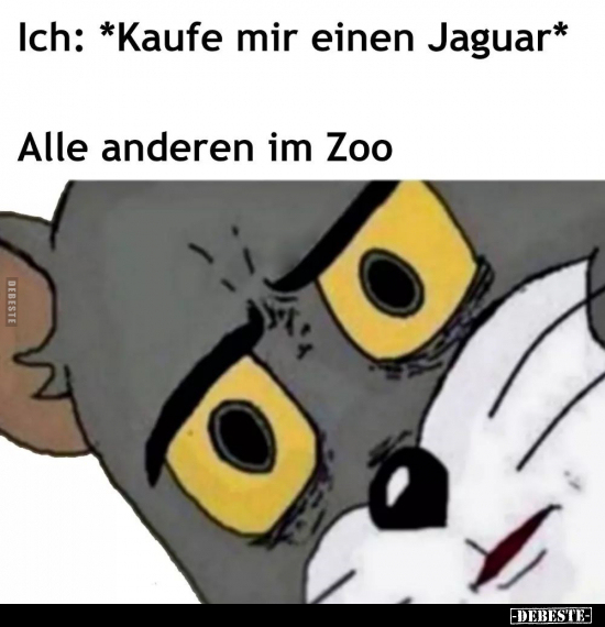 Ich: *Kaufe mir einen Jaguar* Alle anderen im Zoo.. - Lustige Bilder | DEBESTE.de