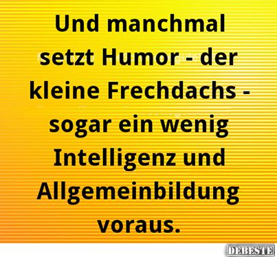Und manchmal setzt Humor - der kleine Frechdachs.. - Lustige Bilder | DEBESTE.de