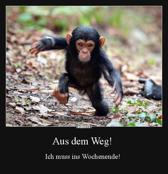 Aus dem Weg! Ich muss ins Wochenende! - Lustige Bilder | DEBESTE.de