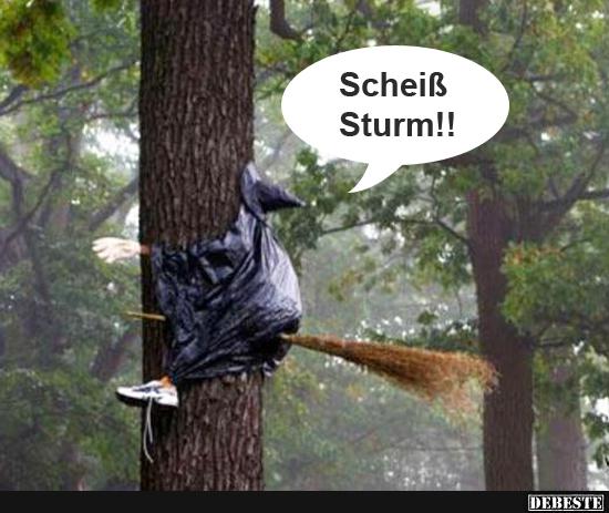 Schei.. Sturm!! | Lustige Bilder, Sprüche, Witze, echt lustig