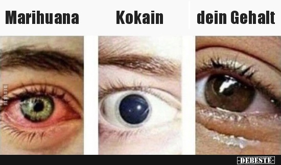 Marihuana / Kokain / dein Gehalt. - Lustige Bilder | DEBESTE.de