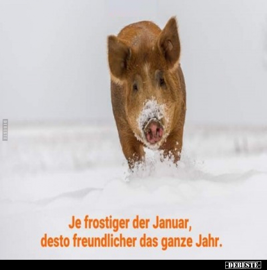 Je frostiger der Januar, desto freundlicher das ganze.. - Lustige Bilder | DEBESTE.de