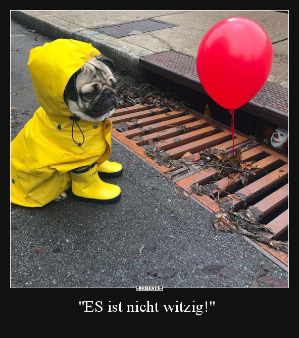 "ES ist nicht witzig!".. - Lustige Bilder | DEBESTE.de