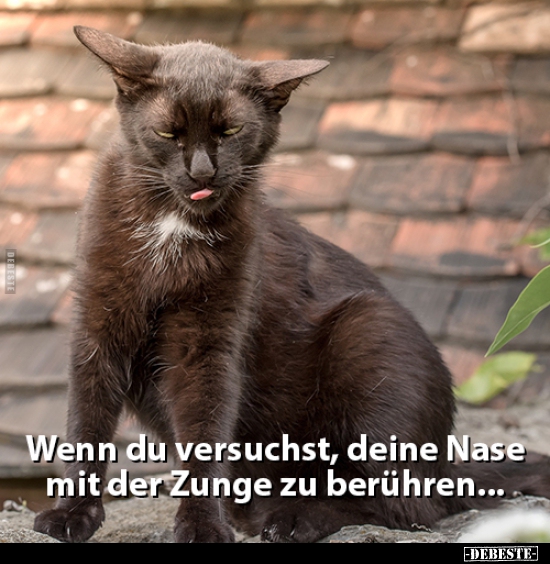 Wenn du versuchst, deine Nase mit der Zunge zu berühren.. - Lustige Bilder | DEBESTE.de