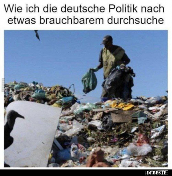 Wie ich die deutsche Politik nach etwas brauchbarem.. - Lustige Bilder | DEBESTE.de