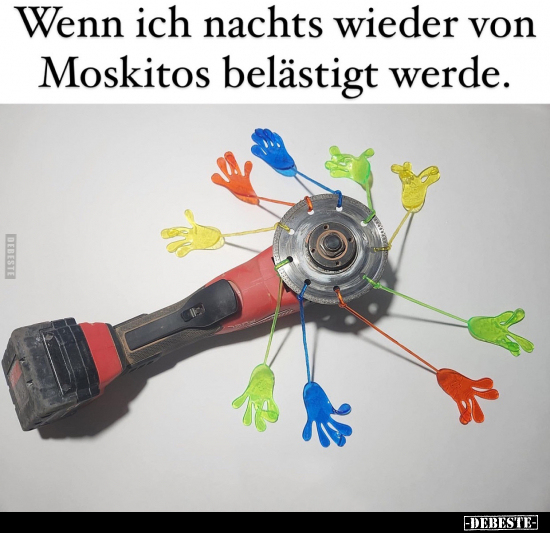 Wenn ich nachts wieder von Moskitos.. - Lustige Bilder | DEBESTE.de