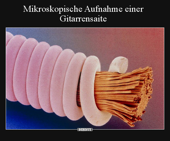 Mikroskopische Aufnahme einer Gitarrensaite.. - Lustige Bilder | DEBESTE.de