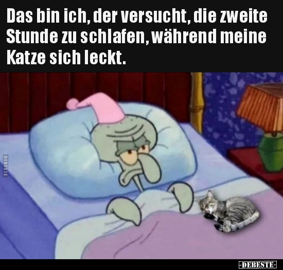 Das bin ich, der versucht, die zweite Stunde zu schlafen.. - Lustige Bilder | DEBESTE.de