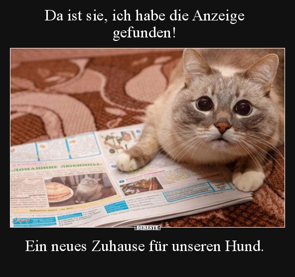 Da ist sie, ich habe die Anzeige gefunden!... - Lustige Bilder | DEBESTE.de