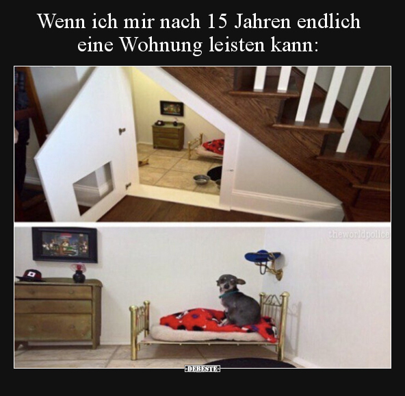 Wenn ich mir nach 15 Jahren endlich eine Wohnung leisten.. - Lustige Bilder | DEBESTE.de