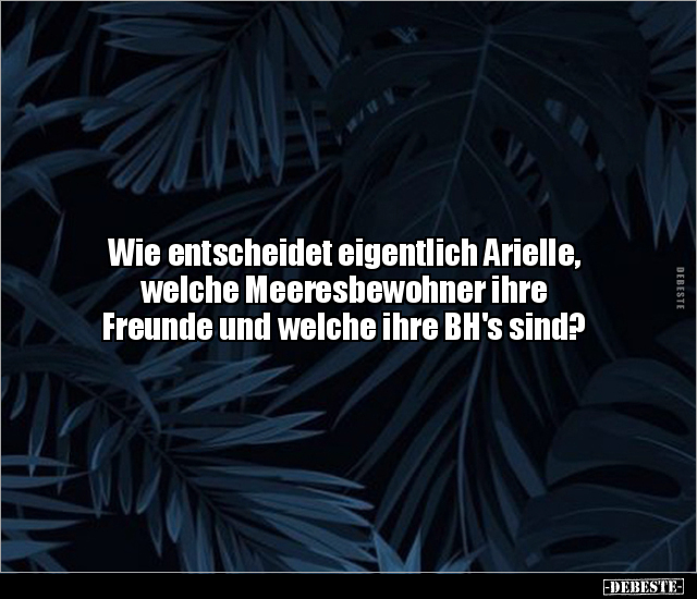 Wie entscheidet eigentlich Arielle, welche Meeresbewohner.. - Lustige Bilder | DEBESTE.de