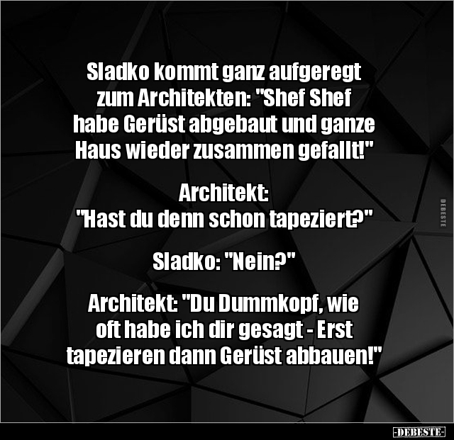 Sladko kommt ganz aufgeregt zum Architekten: "Shef Shef.." - Lustige Bilder | DEBESTE.de