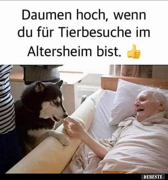 Daumen hoch, wenn du für Tierbesuche im Altersheim.. - Lustige Bilder | DEBESTE.de