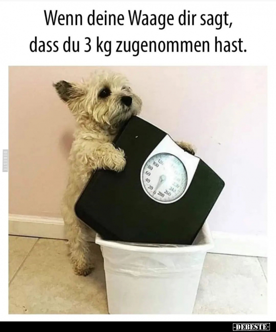 Wenn deine Waage dir sagt, dass du 3 kg zugenommen.. - Lustige Bilder | DEBESTE.de