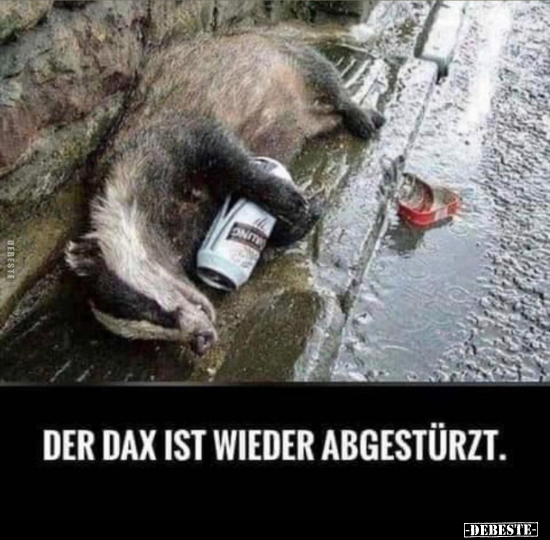 Der Dax ist wieder abgestürzt... - Lustige Bilder | DEBESTE.de