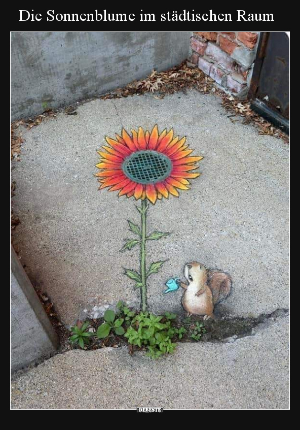 Die Sonnenblume im städtischen Raum.. - Lustige Bilder | DEBESTE.de