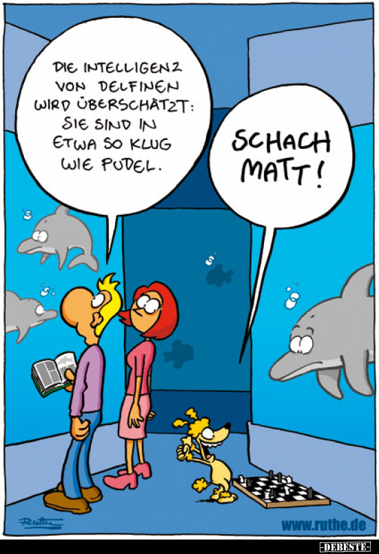 Die Intelligenz von Delfinen wird überschätzt.. - Lustige Bilder | DEBESTE.de