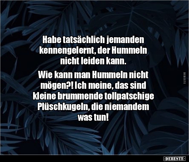 Habe tatsächlich jemanden kennengelernt, der Hummeln.. - Lustige Bilder | DEBESTE.de