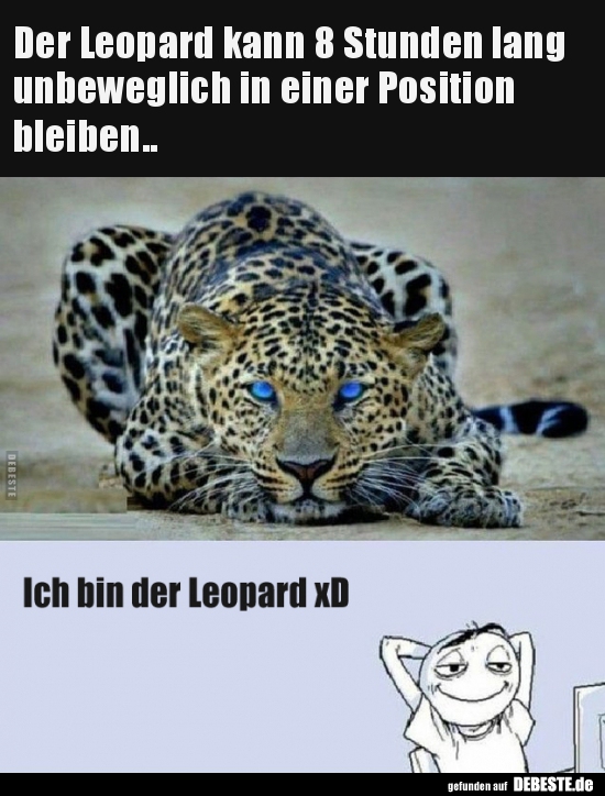 Der Leopard kann 8 Stunden lang unbeweglich in einer.. - Lustige Bilder | DEBESTE.de
