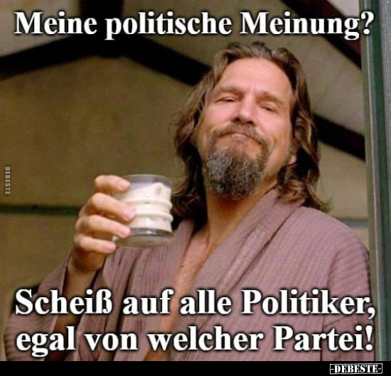 Meine politische Meinung?.. - Lustige Bilder | DEBESTE.de