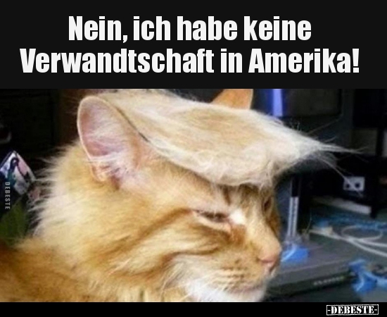 Nein, ich habe keine Verwandtschaft in Amerika!.. - Lustige Bilder | DEBESTE.de