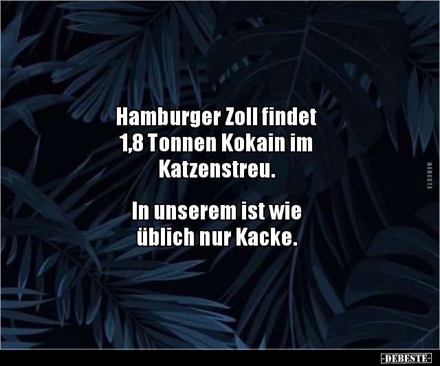 Hamburger Zoll findet 1,8 Tonnen Kokain im.. - Lustige Bilder | DEBESTE.de