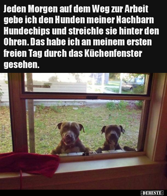 Jeden Morgen auf dem Weg zur Arbeit gebe ich den Hunden.. - Lustige Bilder | DEBESTE.de