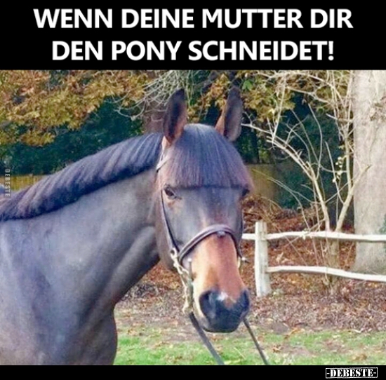 Wenn deine Mutter dir den Pony schneidet.. - Lustige Bilder | DEBESTE.de