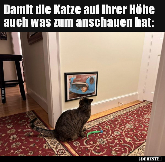 Damit die Katze auf ihrer Höhe auch was zum anschauen.. - Lustige Bilder | DEBESTE.de