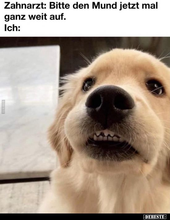 Zahnarzt: Bitte den Mund jetzt mal ganz weit auf... - Lustige Bilder | DEBESTE.de