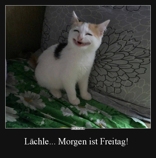 Lächle... Morgen ist Freitag! - Lustige Bilder | DEBESTE.de