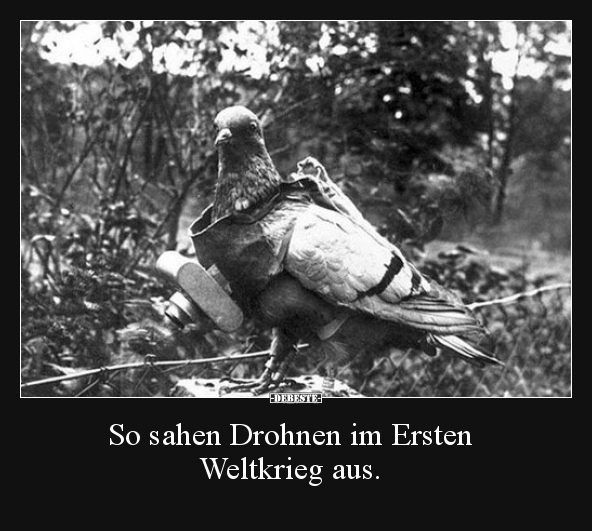 So sahen Drohnen im Ersten Weltkrieg aus... - Lustige Bilder | DEBESTE.de