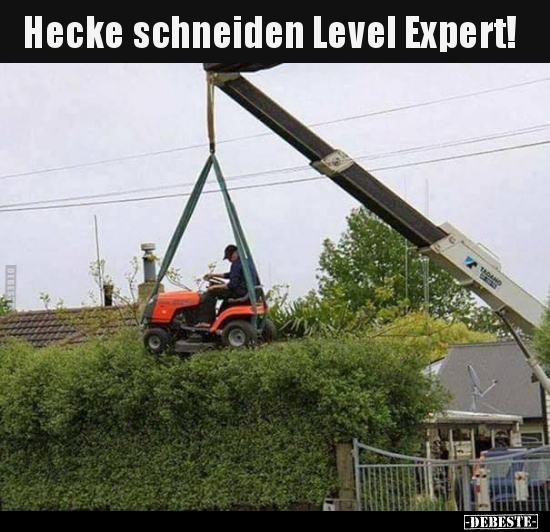Hecke schneiden Level Expert!.. - Lustige Bilder | DEBESTE.de