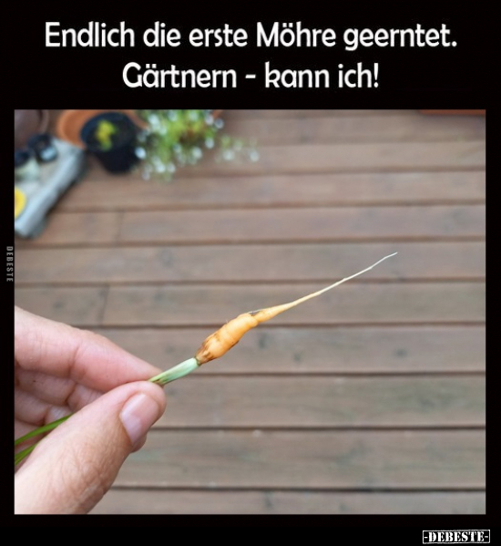 Endlich die erste Möhre geerntet.. - Lustige Bilder | DEBESTE.de