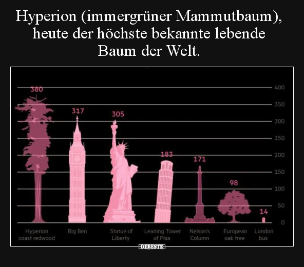Hyperion (immergrüner Mammutbaum), heute der höchste.. - Lustige Bilder | DEBESTE.de