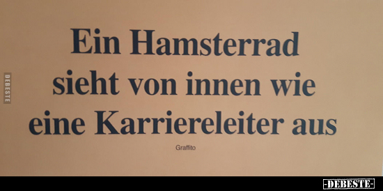Ein Hamsterrad sieht von innen wie eine Karriereleiter.. - Lustige Bilder | DEBESTE.de