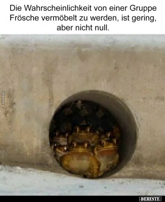 Die Wahrscheinlichkeit von einer Gruppe Frösche vermöbelt.. - Lustige Bilder | DEBESTE.de