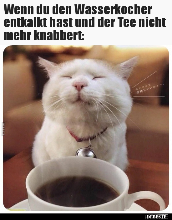 Wenn du den Wasserkocher entkalkt hast und der Tee nicht.. - Lustige Bilder | DEBESTE.de